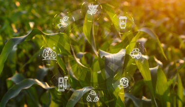 Renewable energy solutions for a sustainable and circular economy | News | CORDIS