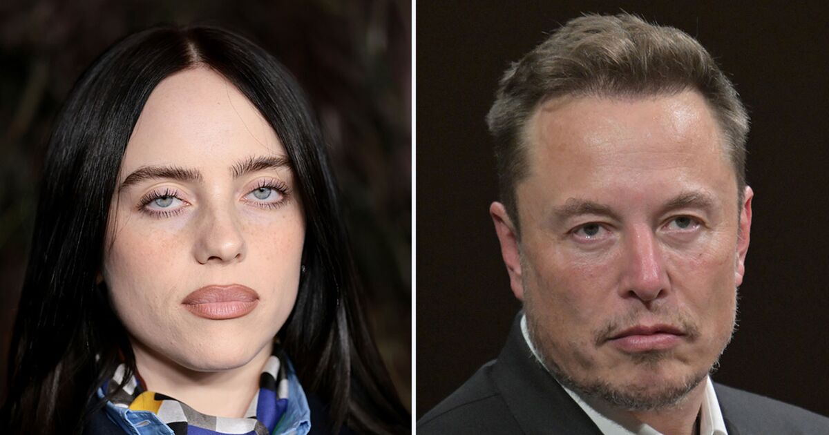 Billie Eilish attacks 'pathetic' Elon Musk in rant on his wealth - Celebrity News - Entertainment