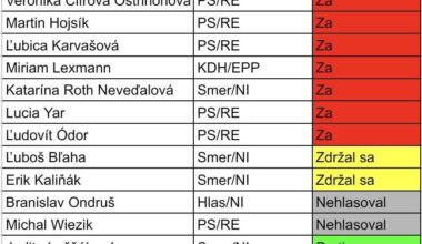 Hlasovanie našich europoslancov o "návrhu na ochranu detí"