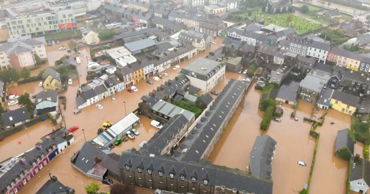 Climate change putting Ireland's economic stability at risk, Central Bank warns