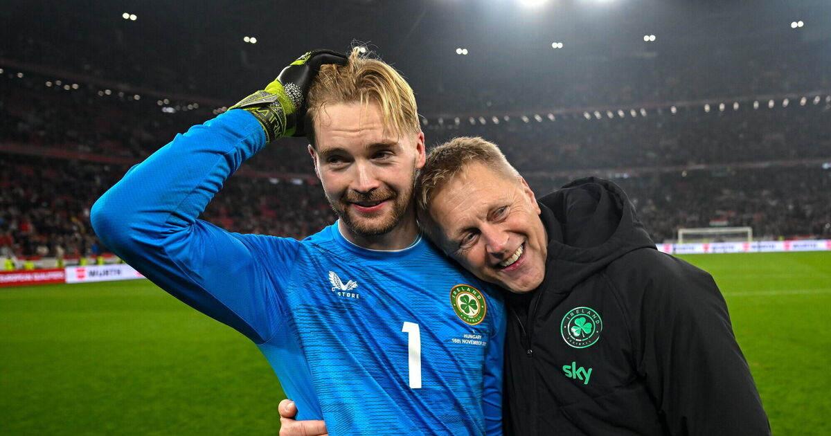 Hallgrímsson's Ireland rise from early turmoil to play-off berth