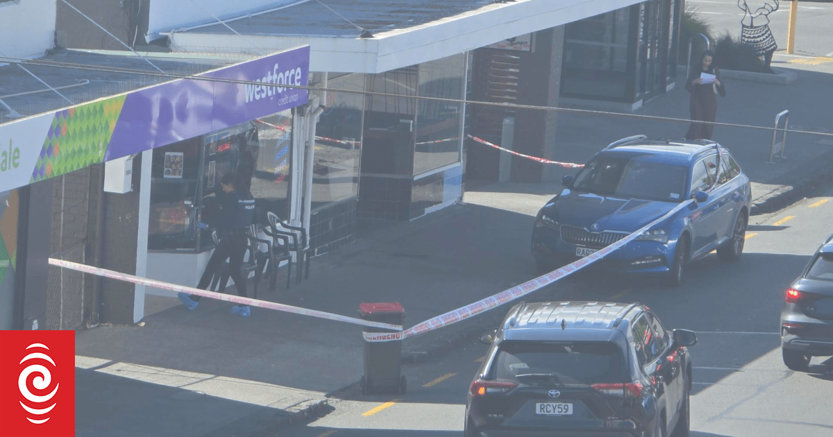 Police swarm Auckland suburb, one seriously injured