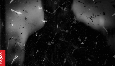 Porn-addicted law firm boss facing tribunal for viewing explicit content at work