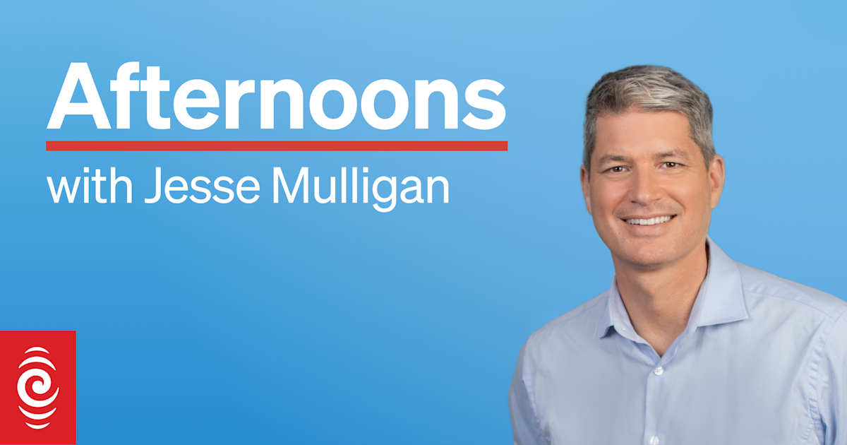 Afternoons for Wednesday 19 November 2025 Afternoons
