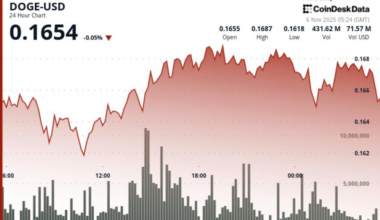 Holds $0.16 Support as Profit-Taking Caps Breakout