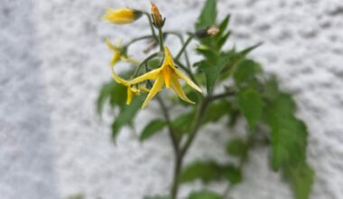 Was für November?! Ich kann dich nicht hören