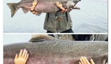 Alles fake heutzutage 😕