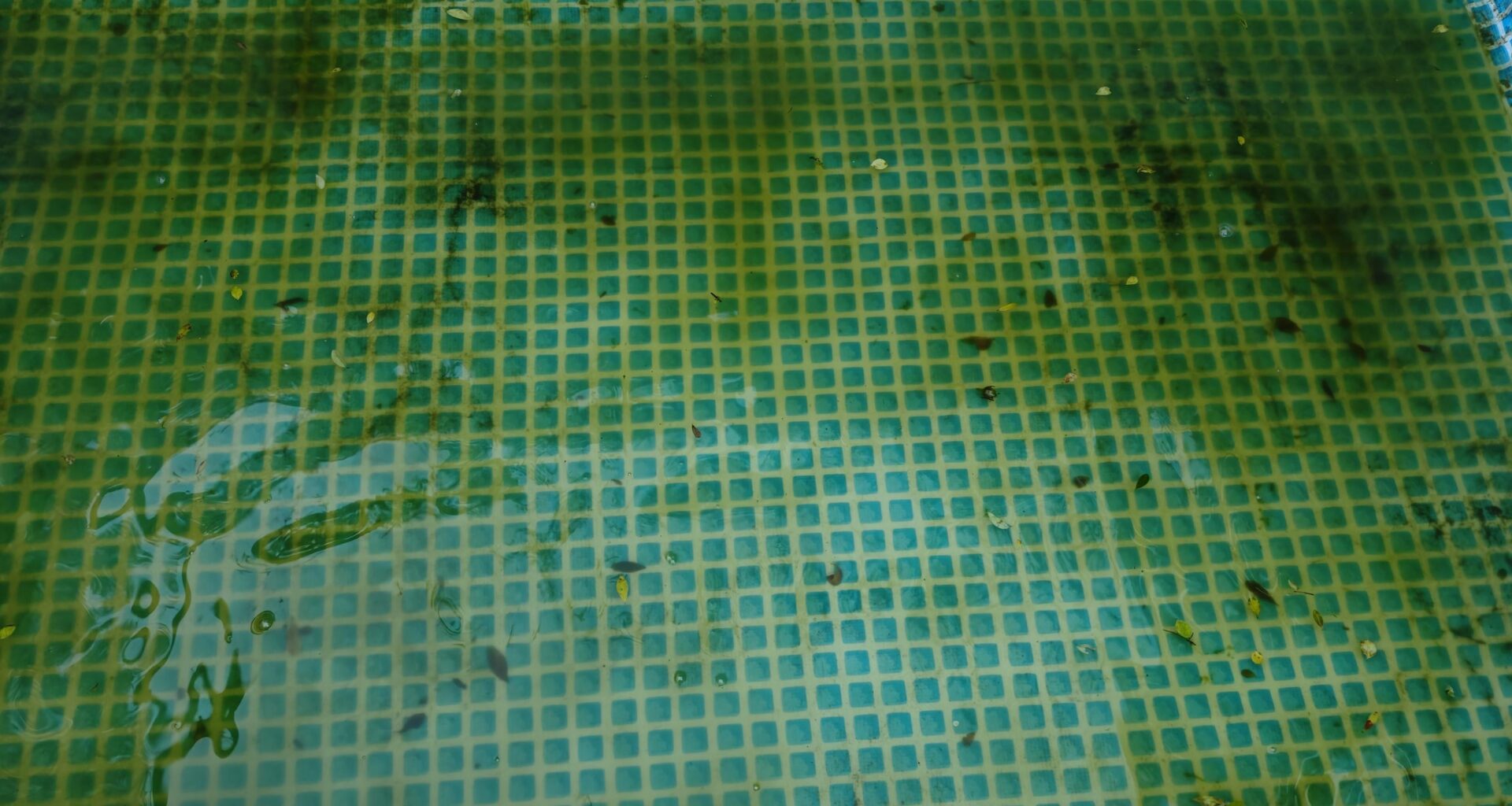 Poolwasser Rest ablassen