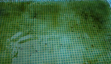 Poolwasser Rest ablassen