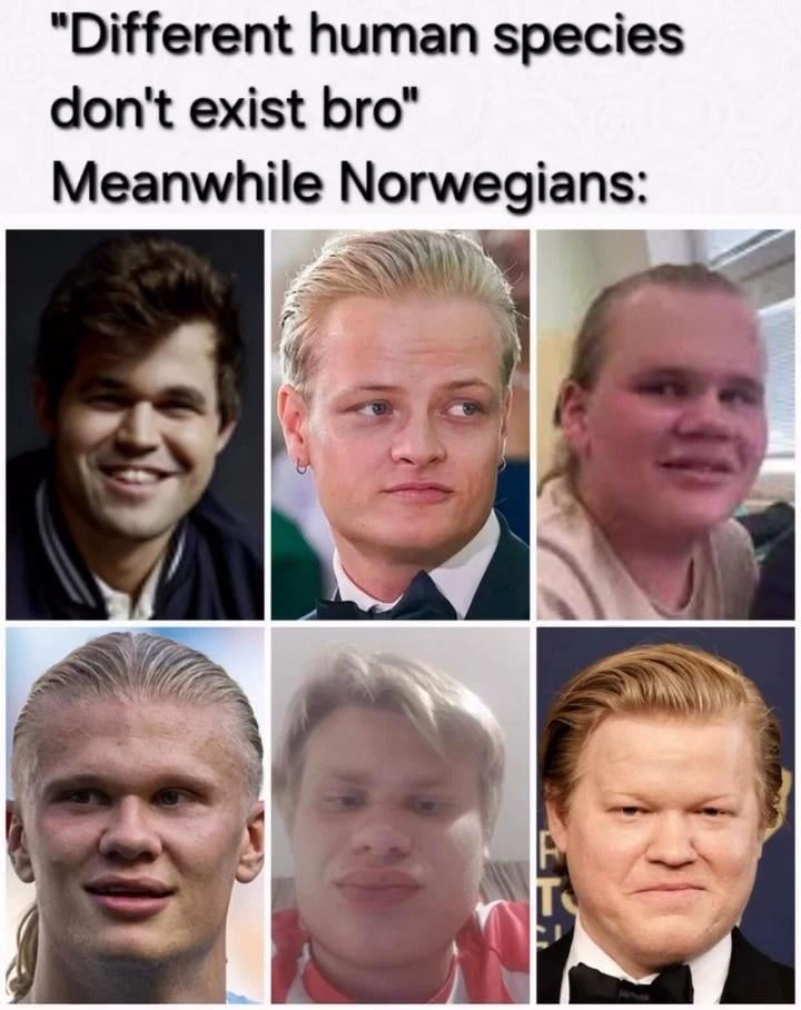The Norwegian Man (Homo Norvegica) 🇳🇴