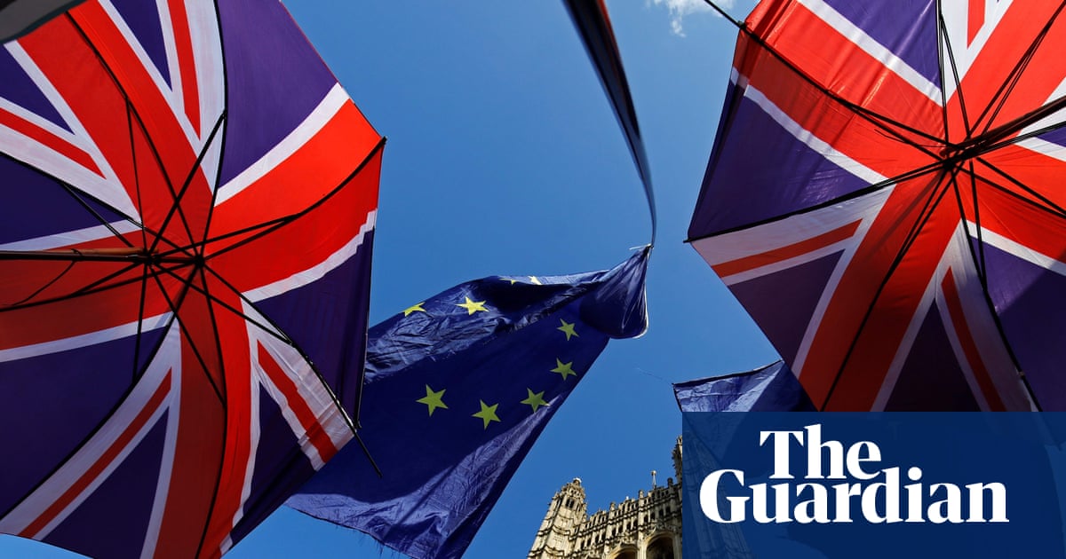 A public inquiry on Brexit might make it easier for us to rejoin the EU | Brexit