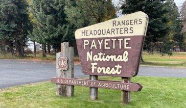 Chilling effect hits Forest Service harder than DOGE cuts