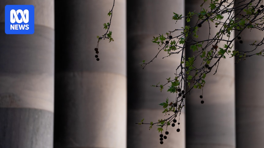 Abortion legislation voted down in South Australian Parliament