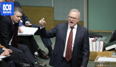 Federal politics live: Barnaby Joyce quits the Nationals, Labor grilled on power prices in final Question Time of the year