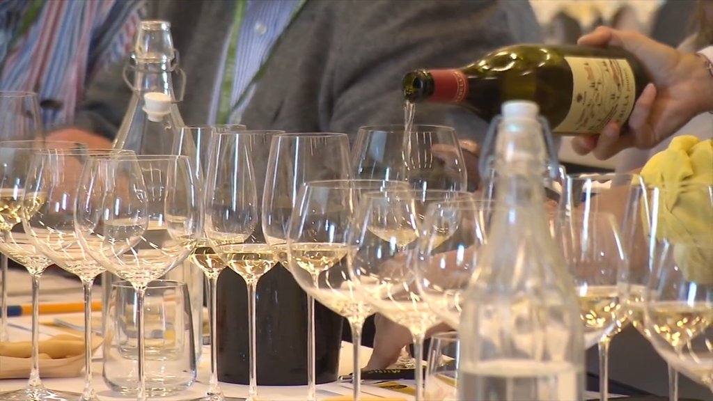 Predlog zakona: manj birokracije za slovenske vinogradnike in vinarje