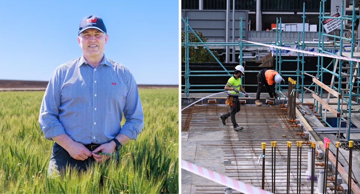 Westpac boss makes call for skilled immigration boost to fixing housing shortage as price rises accelerate