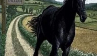 Only a Polish speaker will understand