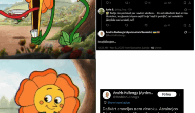 Kulbergs (AS) vs Īvāns (summarized)