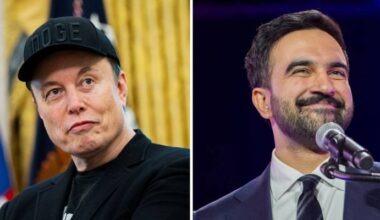 Elon Musk warns Mamdani policies and ‘low’ universal income would trigger ‘catastrophic decline’ in US living standards