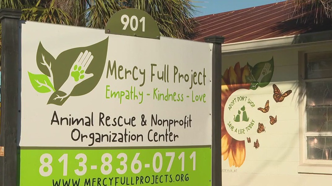 Pets left behind after deportations