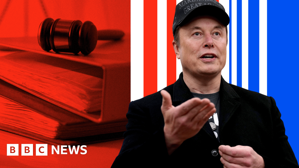 What is Doge and why is Musk leaving?