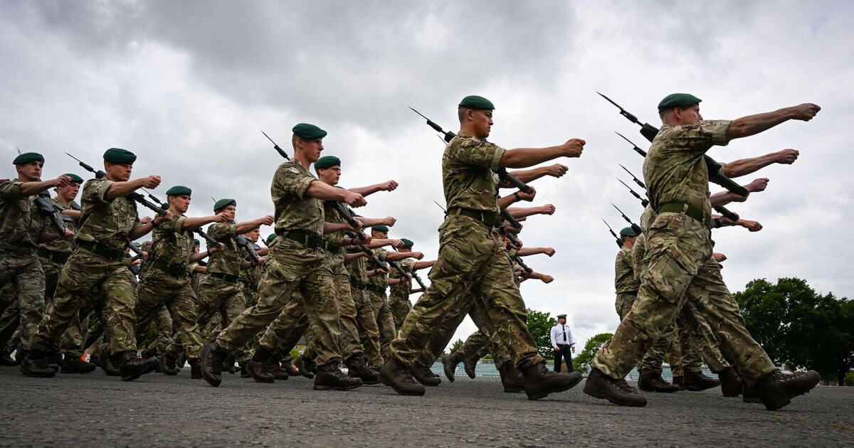 UK military swoop into NATO country to shield against 'Russian' drones | World | News