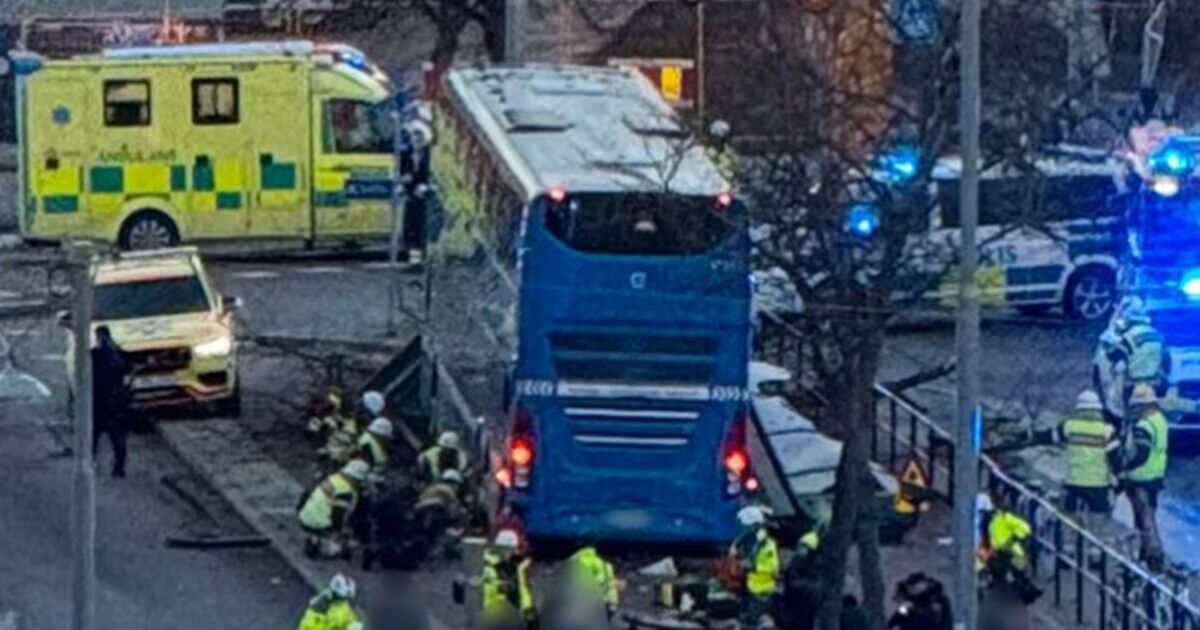 Horror as bus slams into pedestrians in major city – killing 3 people | World | News
