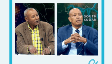 GERD Reshapes Regional Geopolitics, Strengthens Diplomatic Achievements: AAU Scholars - ENA English