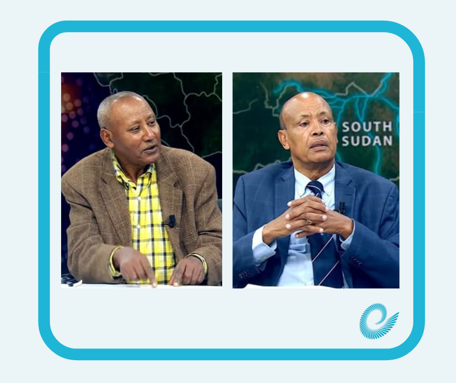 GERD Reshapes Regional Geopolitics, Strengthens Diplomatic Achievements: AAU Scholars - ENA English