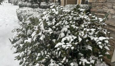 Entergy, Energy Transfer to send natural gas to north Louisiana - Energy