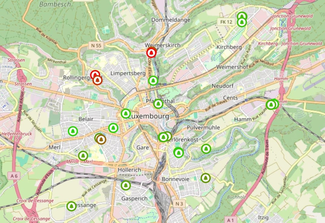 I was craving chestnuts so I used open data to map all 33 chestnut trees in the city, and managed to find a single (but delicious) nut