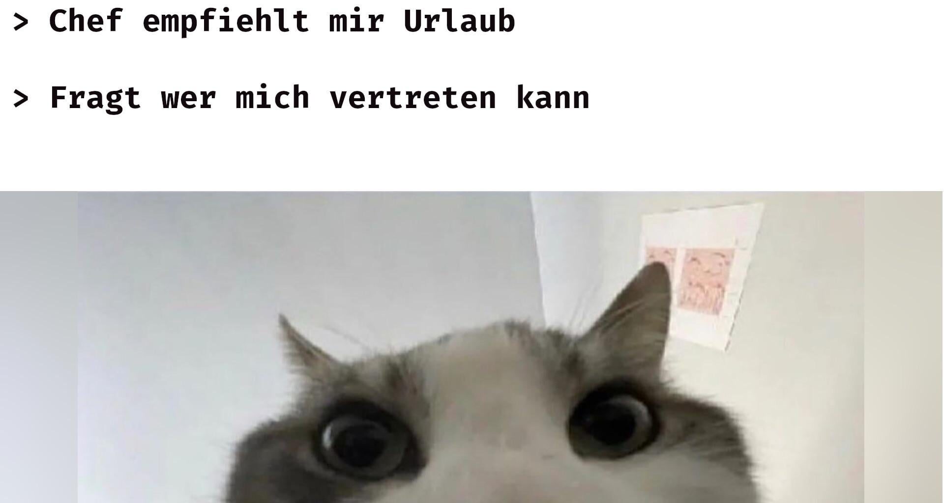 Ich🔥iel