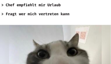 Ich🔥iel