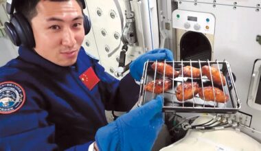 Chinese astronauts savor grilled chicken, beef in space