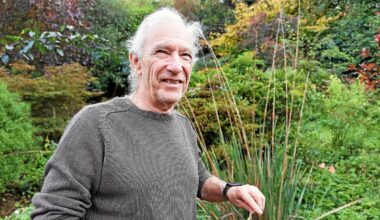 « La saison a eu trois semaines d’avance » : à Lannion, un botaniste explique l’abondance de fruits