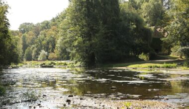 les nappes phréatiques en France dans une situation "généralement satisfaisante"
