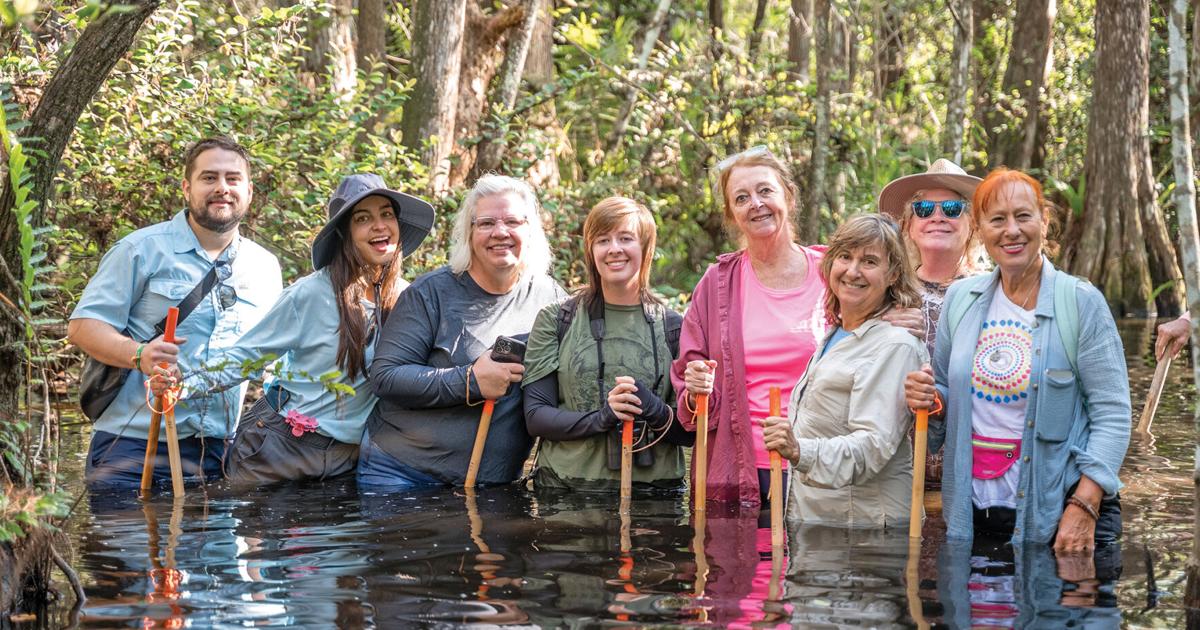 Wandering the Swamp | Environment