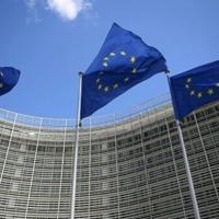 EU predicts less eurozone 2026 growth due to trade tensions | National