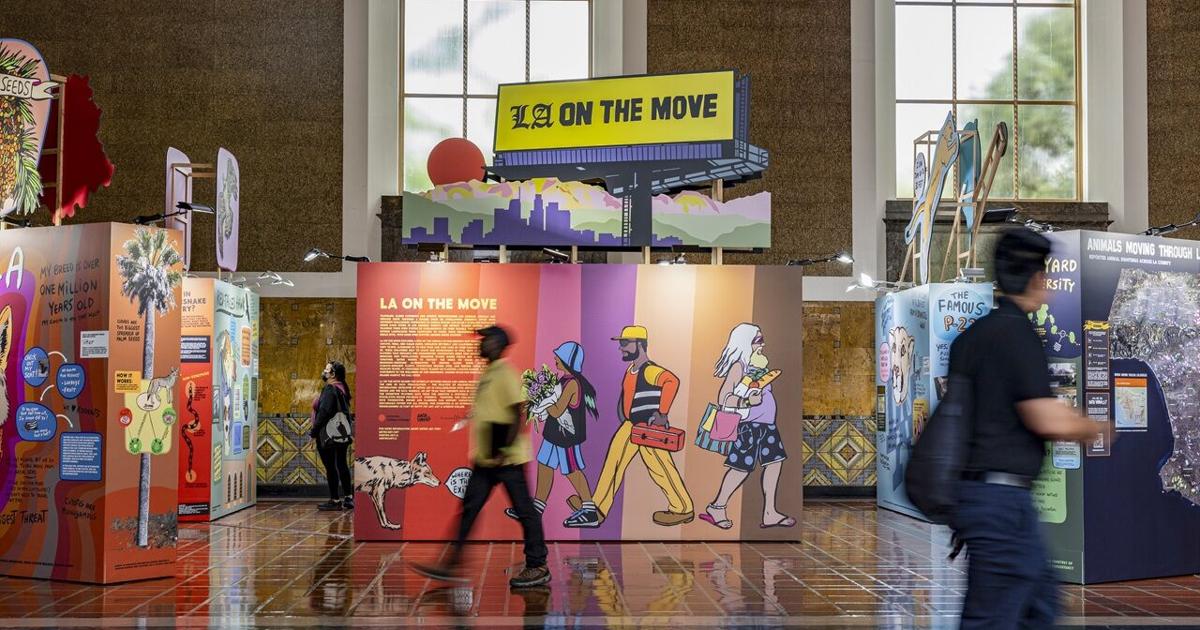 ‘LA on the Move’: Union Station exhibition turns wildlife data into art | Arts and Culture