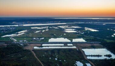 Problems emerge with Mississippi River’s vital safety valves | Environment