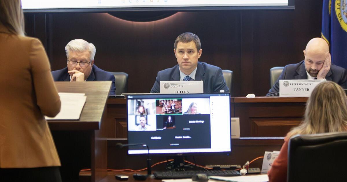 Idaho’s DOGE efficiency pursuits continue with recommendations for elimination, consolidation | State