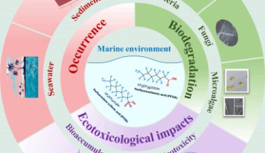 Insights into the occurrence, ecotoxicity, and biodegradation of perfluorooctanoic acid and perfluorooctanesulfonic acid in the marine environment