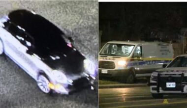Suspect in fatal Mississauga hit-and-run removed license plate before fleeing: police
