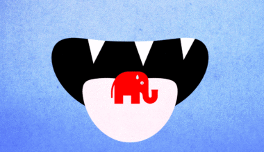 Trump's immigration ideology outweighs winning elections