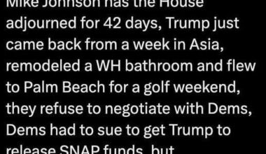 Why won't them damned Demonrats open up the government?