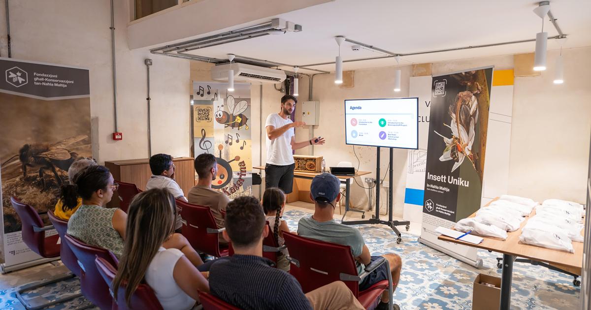 A buzzing project for Malta’s pollinators