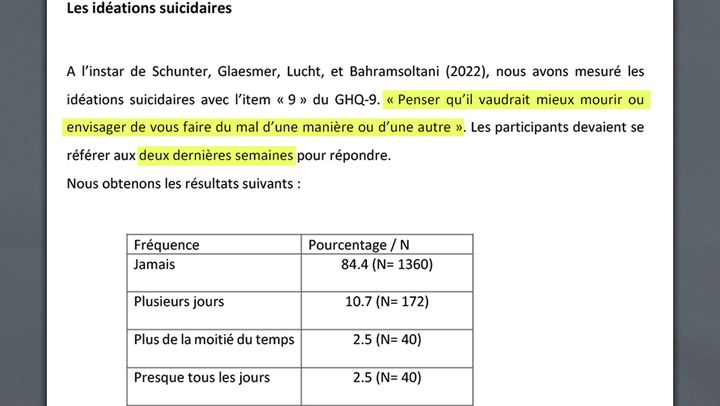 Extrait du rapport rendu par Didier Truchot sur les idéations suicidaires à l’EnvA. (DR)