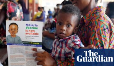 UK cuts contribution to Aids, tuberculosis and malaria fund by £150m | Foreign policy