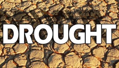 Disaster relief loans available to small businesses, nonprofits affected by drought