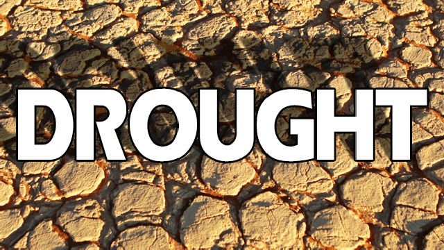 Disaster relief loans available to small businesses, nonprofits affected by drought